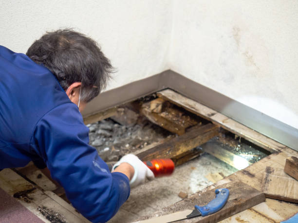 Best Residential Mold Remediation in Aptos, CA