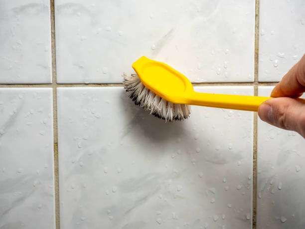 Best Kitchen Mold Remediation in Aptos, CA