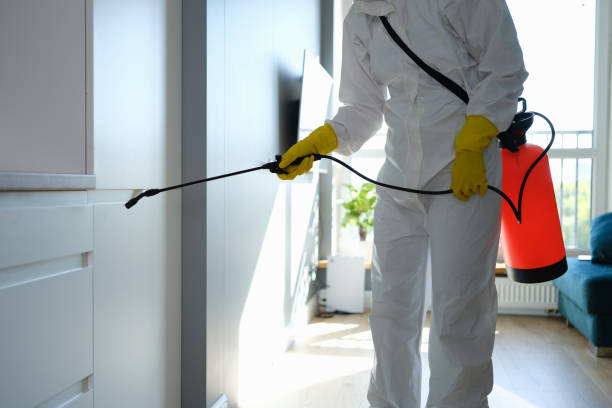 Best Post-Flood Mold Remediation in Aptos, CA