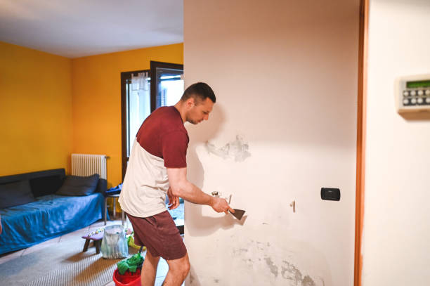 Best Mold Testing and Inspection Services in Aptos, CA