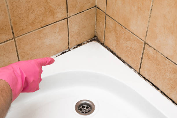 Best HVAC Mold Remediation in Aptos, CA